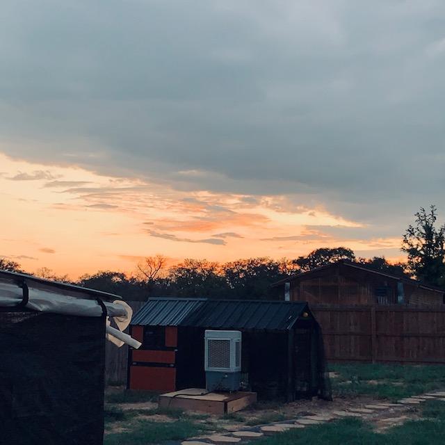 Sunset was very pretty this evening.