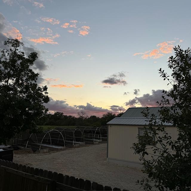 I just missed the pink sunset but I captured it fading away.