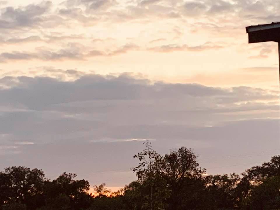 The last bits of light from sunset looked so golden. The camera does not do it justice.