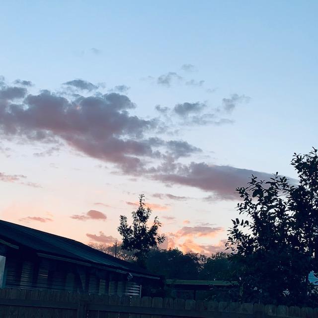 I caught what was left of the sun when I put my chickens away tonight. You can see my greenhouse on the left.