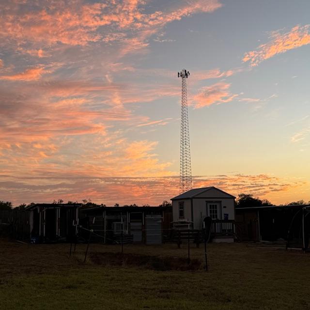 I love it when the clouds turn pink, don't you?