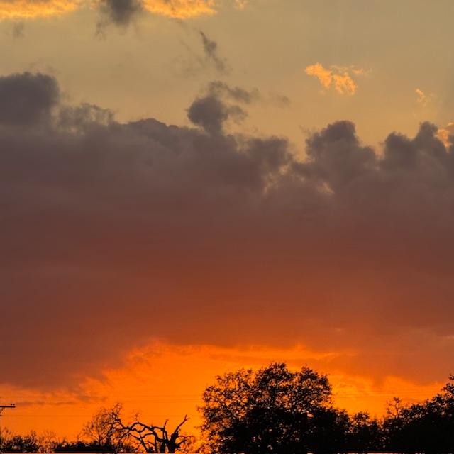 The sunset was like fire this evening as I put the chickens away.