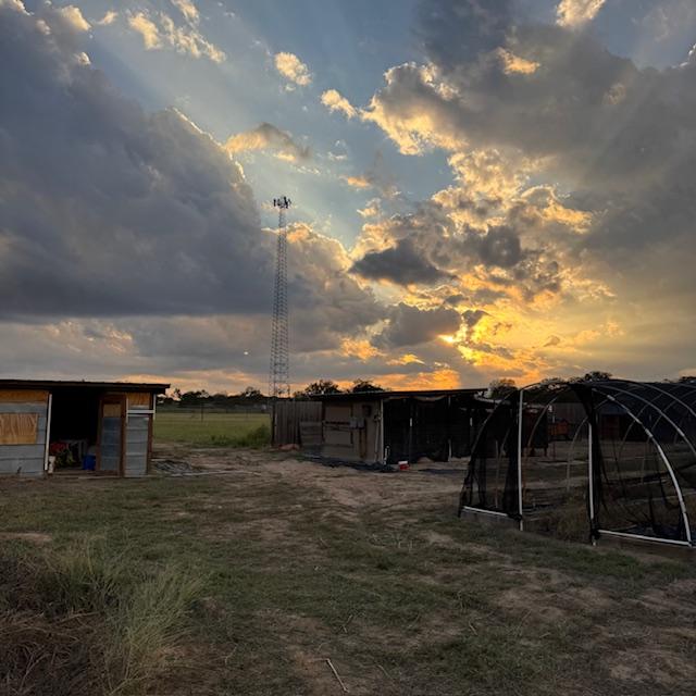 Sunset on Saturday night from the goat pen.
