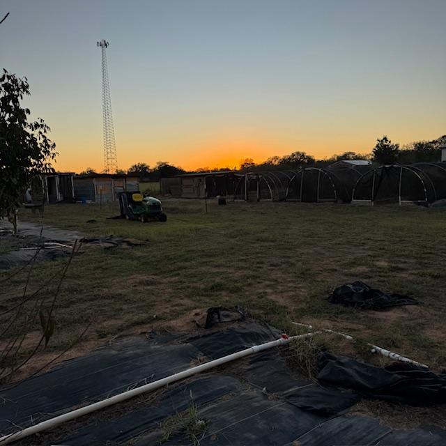 The sun went down as I was finishing up with the goats. Then I went over and got the 2 eggs as I put the chickens away.