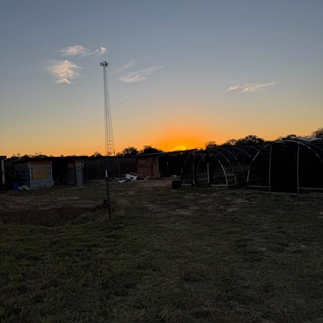 Sunset from the goat pen.