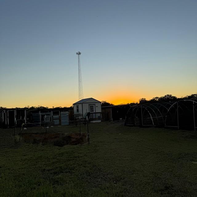 Sunset from the goat pen over the cell tower.