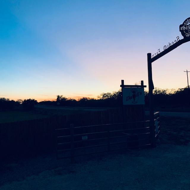 At the front gate while the sun ihas just gone down.