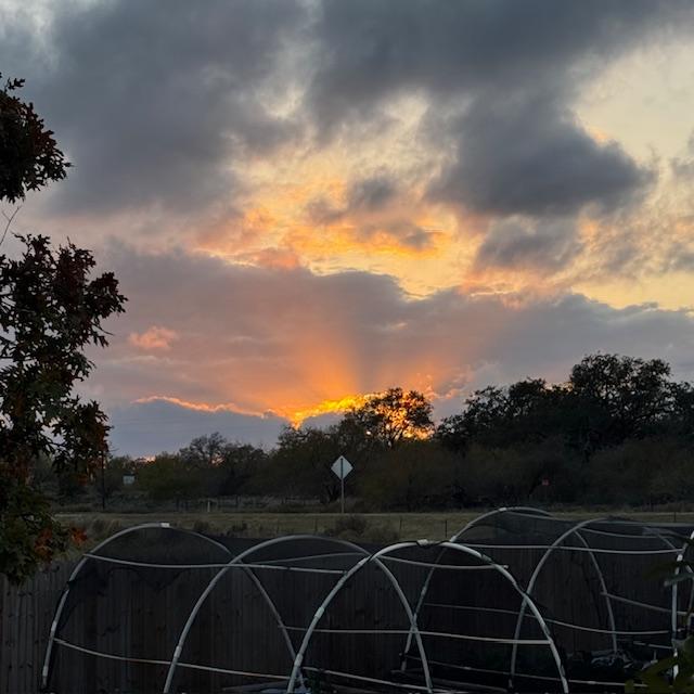 Our beautiful sunset this evening. I was running late getting the animals taken care of but I am glad I stopped and turned to this!