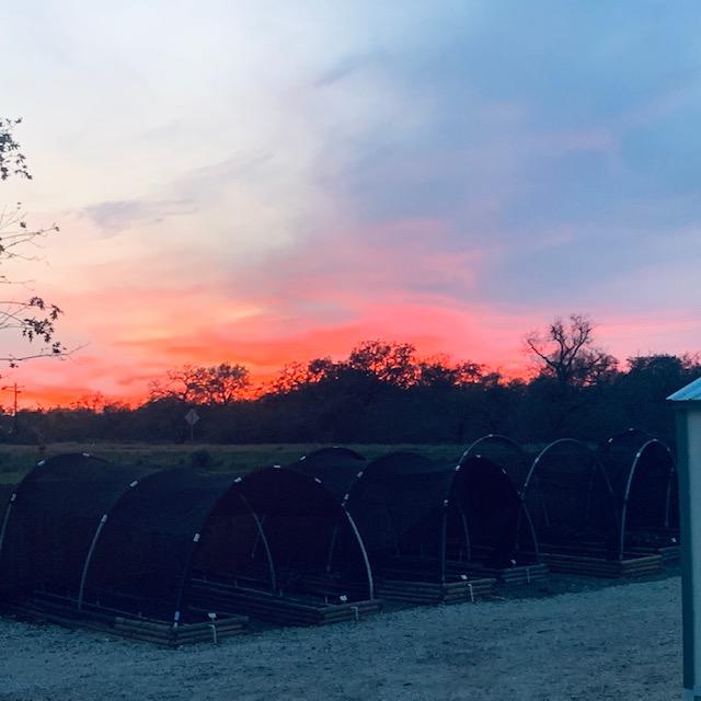 The sunset is more spectacular than the sunrise today! It is so beautiful!