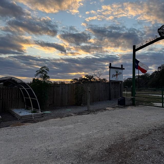 Sunset late this afternoon. Not much color today.