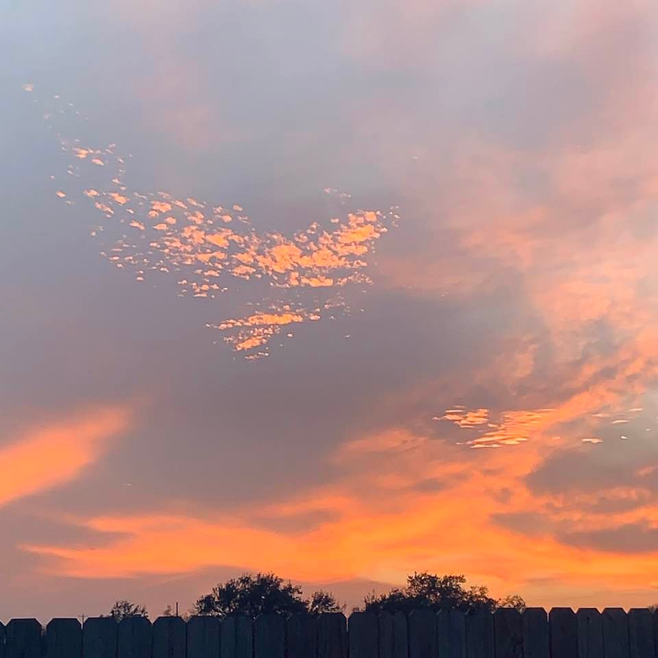 Look at the spectacular color at sunset from our back 40. Again, no filters.