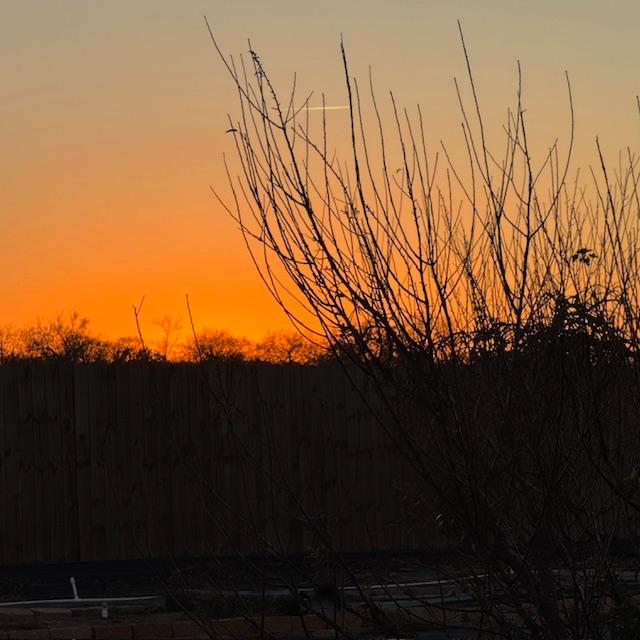 Sunset from the orchard. Happy New Year!