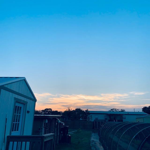 Sunset at the feed shed on left, hen house left. Hoop house right. Our home is the far building.