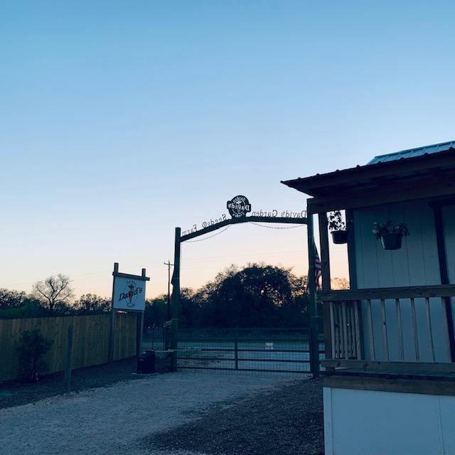 Our gate at sundown this evening.
