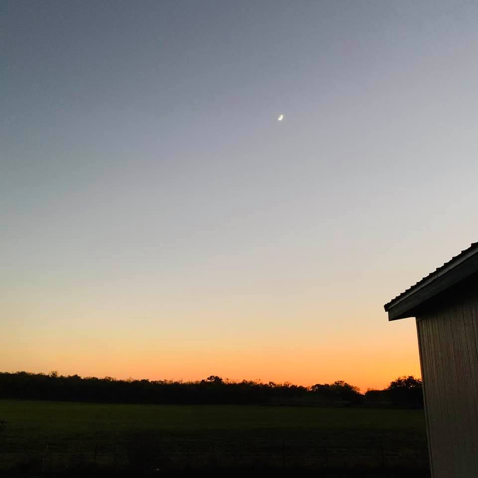 As darkness fell, I captured the pink sky of sunset along with the moon from the backyard this evening.