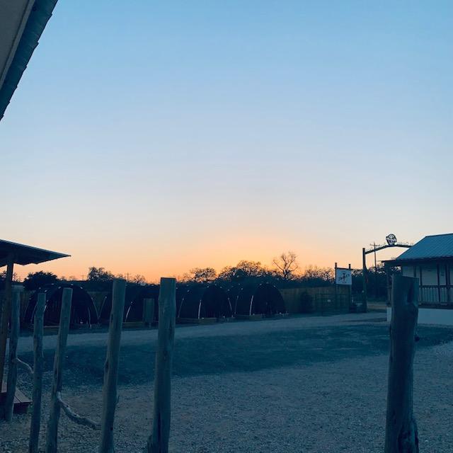 As the sun set this evening, I was still closing seed orders. But isn't it pretty?