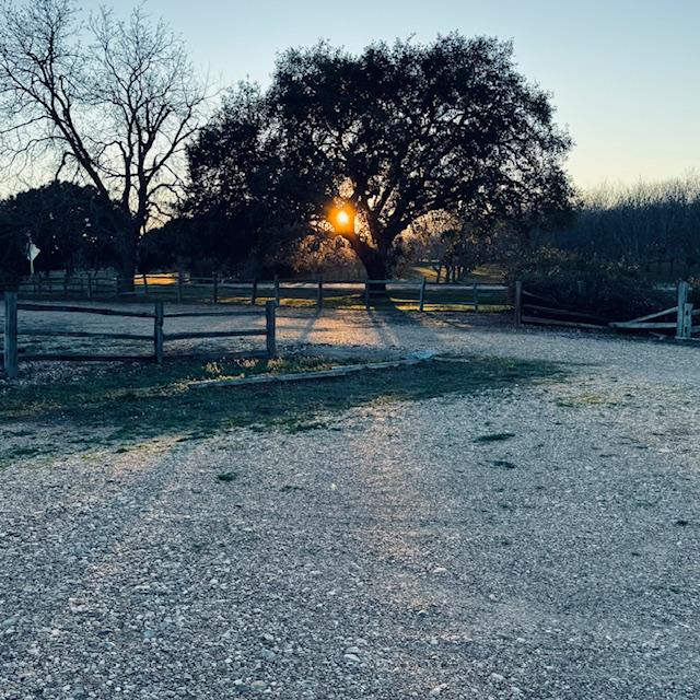 I captured this sunset through the trees as we were leaving the Antique Rose Emporium this evening.