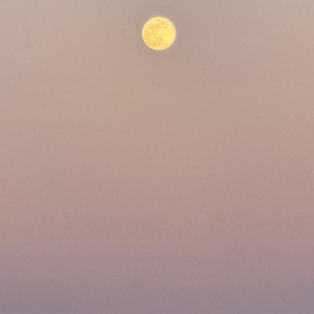 A super moon came up early, around 5:30pm when I was walking back to the house.