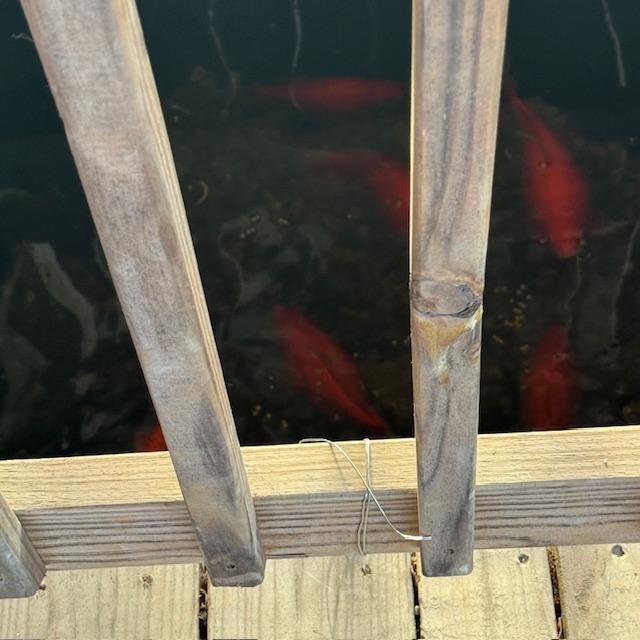 The man who helped Matt install the new filter and pump, suspended the pump with wire that you can see here so it won't keep getting clogged--Genius!