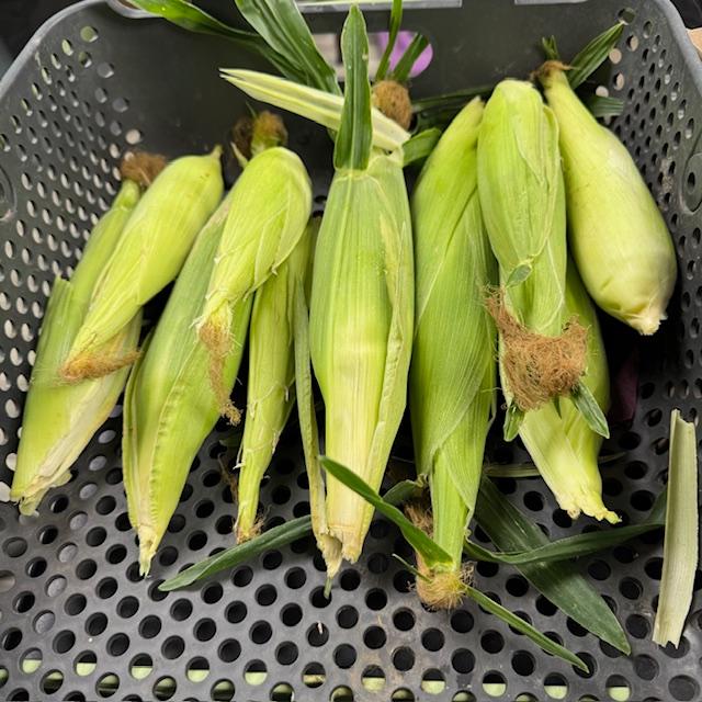 This sweet corn was out of this world.