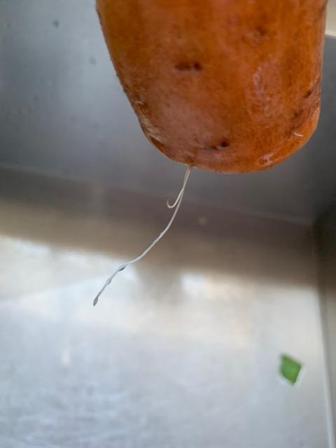 I see 3 roots growing out of this sweet potato.