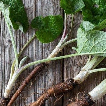 Grow burdock like Takinogawa.