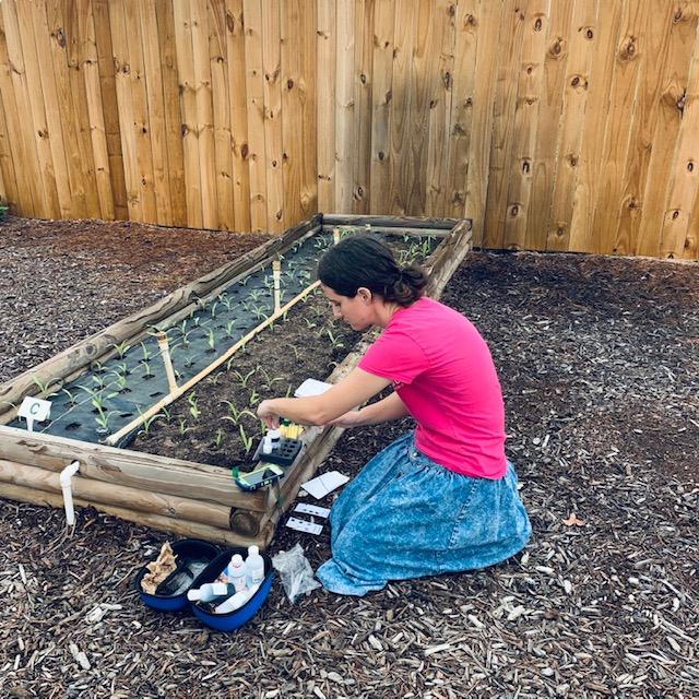 Testing our soil here on the farm. You can get a soil testing kit online or at garden centers. We do not carry them. Testing our soil here on the farm. You can get a soil testing kit online or at garden centers. We do not carry them.