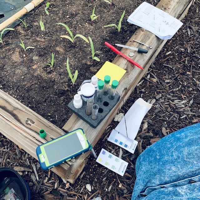 Here is pH testing equipment for your fall garden in Texas. Get pH testing kits on Amazon.