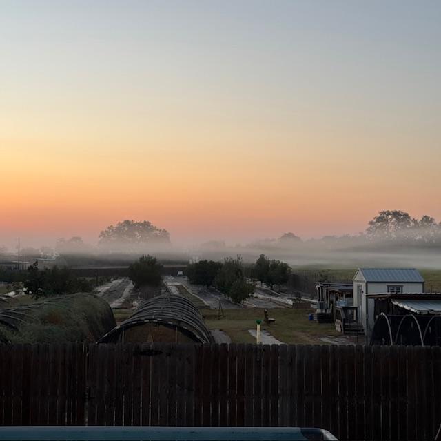 thickerfog101224b thickerfog101224b