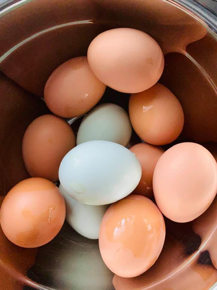 My first time to get three blue eggs in one day! I was excited.