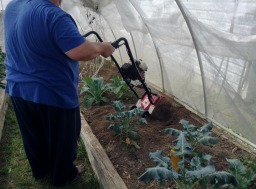 Breaking the dirt up is so important if you are going to plant directly in the ground. The clay soil of San Antonio does not break up easily.