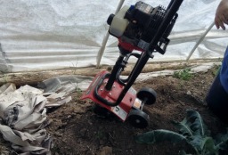 The tiller is hard at work, plowing up the dirt, breaking up clumps and getting it loose so your vegetables can easily grow through it with deep roots which you need for watering.