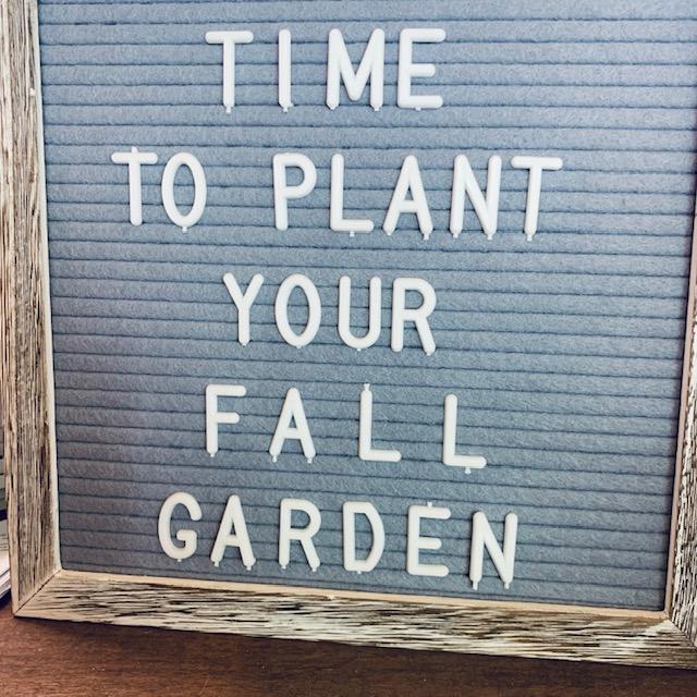 It is time to plant your fall garden seeds now.