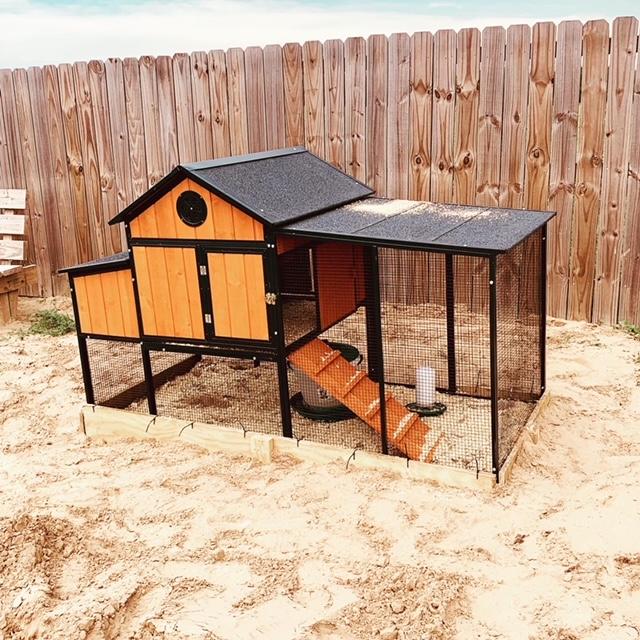 The baby chicks now reside in this adorable little coop. I have the door open for them to go down into the yard, but they have not yet tried it. They will soon enough.