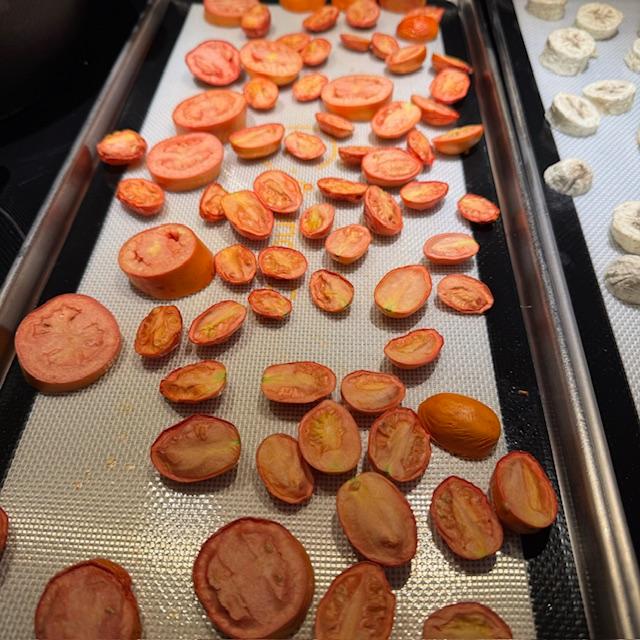 I dried 2 trays of Ruby Crush grape tomatoes. I had to cut them all in half.
