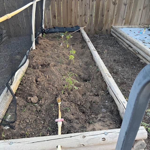 A few of the tomato and pepper plants that Matt planted this afternoon. There are still more to plant.