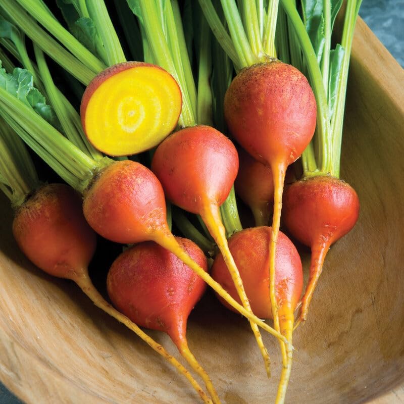 Grow some golden beets like the Touchstone Gold.
