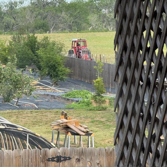 Here is the tractor mowing our part of the field. It was so nice of her.