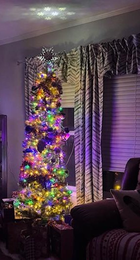 This is our Christmas tree this morning. I promise I have not opened anything yet. We will wait until Matt gets here.