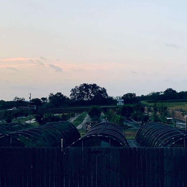 Close up of the back 40.