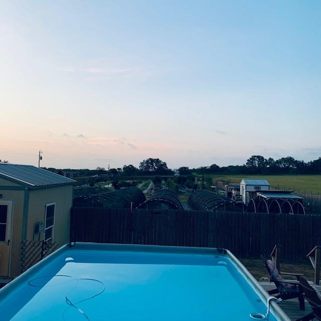 From our back deck, our above ground pool and the back 40 including the orchard, hoop houses. The fence line is right in front of the gorgeous oak tree. 4 acres.