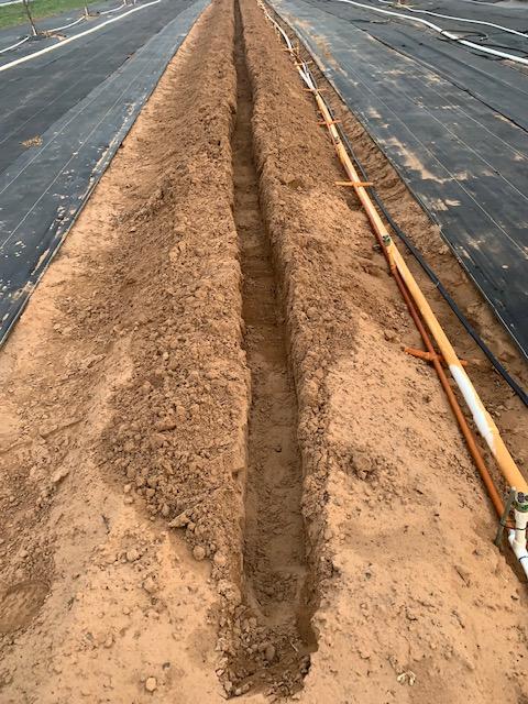 To grow potatoes in Texas, you will need a 6 inch wide by 6 inch deep trench. Ours is about 356 feet long. We have a lot of potatoes to plant.