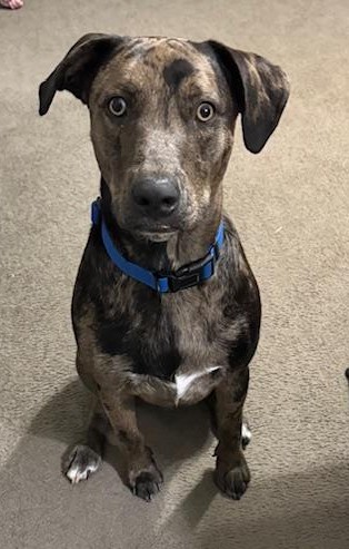 Trump's one year happy birthday photo. Isn't he cute?