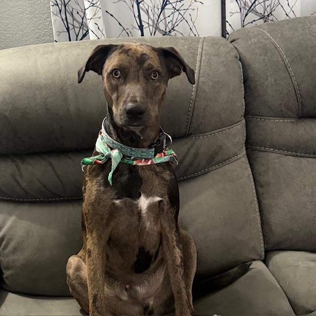 Trump is clean and looking handsome. Isn't he adorable?