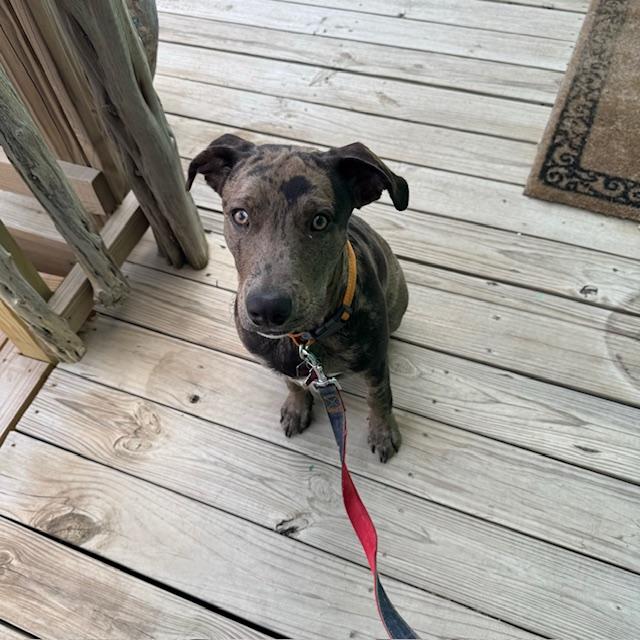 Trump sat for a quick second as I snapped this. He is so hyper!