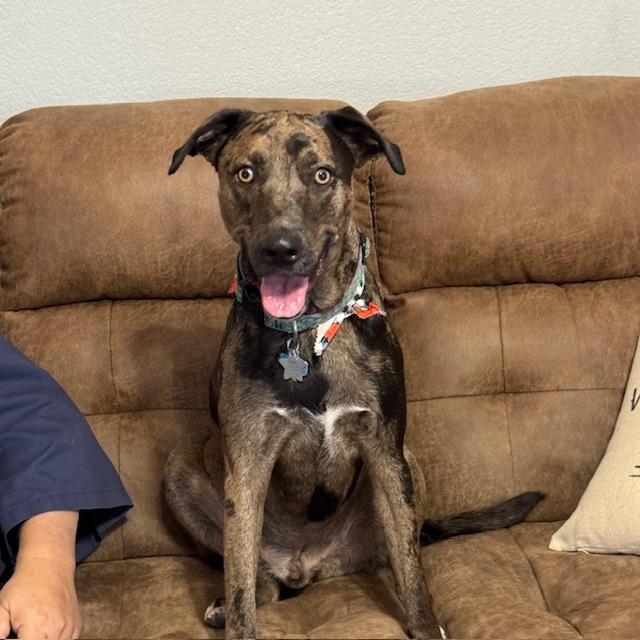 Trump posing on the living room couch after his grooming. He is sitting next to his father. Isn't he so handsome?