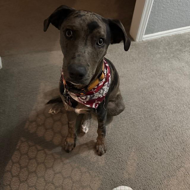 Who could stay mad at that little face?