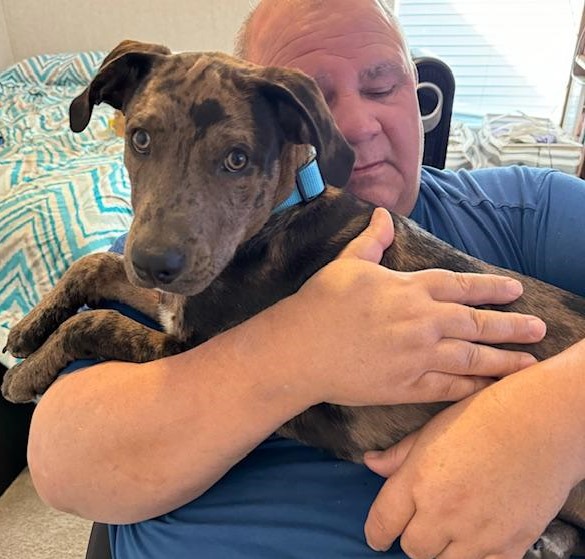 David holding Trump when he was about 4 months old. David loves dogs and feels fulfilled with them and when gardening. David holding Trump when he was about 4 months old. David loves dogs and feels fulfilled with them and when gardening.