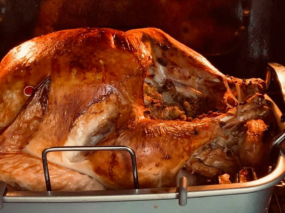 A closeup of our turkey. You can see some of the stuffing in the cavity.