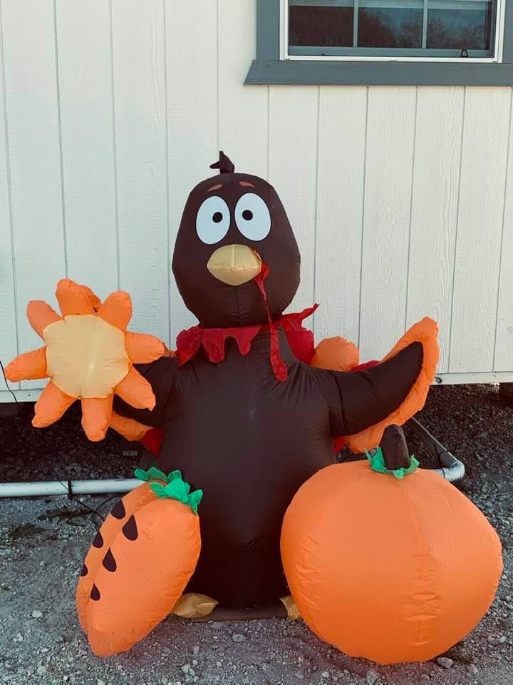 This turkey is so cute. Get ready for Thanksgiving and come out with your kids and have a photo taken with both of them! #davidsgardenseeds